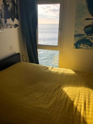 Appartement Cosy Les Pieds Dans L'Eau, Vue Mer Exceptionnelle Crozon Eksteriør bilde